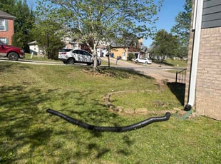 Tommy R.'s lawn care services service result