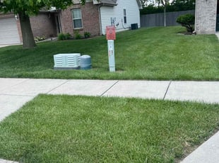 Mathea K.'s lawn care service result