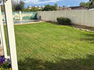 Angelo C.'s turf care service result