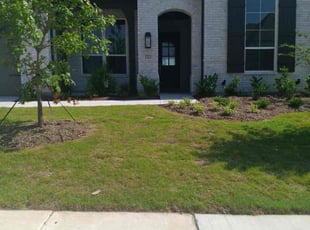 Ashley W.'s grass maintenance service result