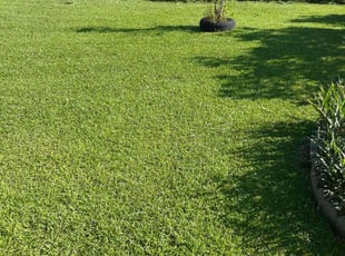 Pamela C.'s lawn maintenance service result
