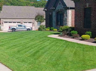 Nate J.'s lawn care services service result