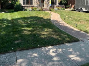 Tom H.'s turf maintenance service result