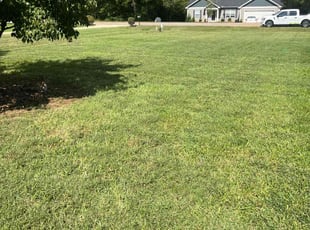 Danielle L.'s lawn care service result
