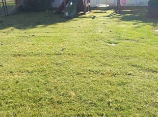 Jacob N.'s lawn care service result