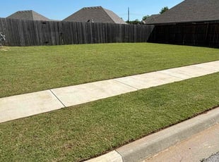 Lynette L.'s lawn care service result