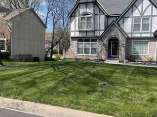 Misty K.'s grass maintenance service result