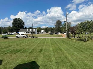 David F.'s turf care service result