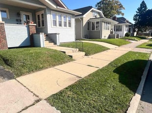 Joseph E.'s grass maintenance service result