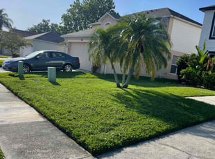 Sue L.'s lawn maintenance service result