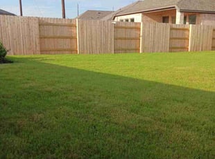 Jack F.'s lawn maintenance service result