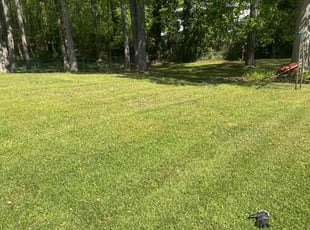 Moe C.'s turf care service result