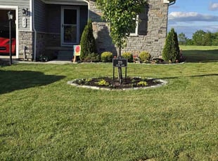 Amber S.'s lawn care service result
