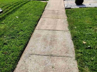 Nadia B.'s turf maintenance service result