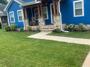 Ashley H.'s lawn care service result