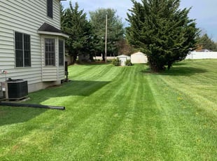 Audrey F.'s grass cutting service result