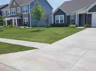Reneé H.'s grass cutting service result