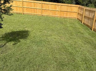 Andy P.'s lawn maintenance service result