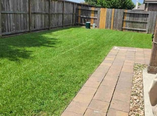 Phenola M.'s grass maintenance service result