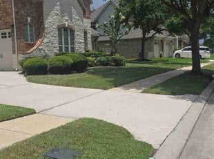 Tammy M.'s lawn maintenance service result
