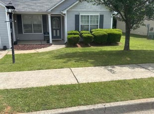 Brian D.'s turf maintenance service result