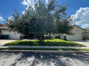 Debra G.'s lawn care services service result