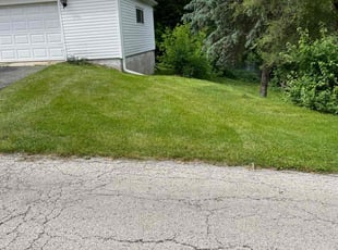 Michelle T.'s lawn care service result