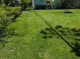 Gail L.'s lawn care service result