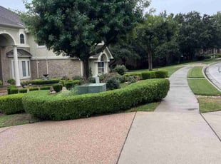 Bridget H.'s Bush Trimming service result