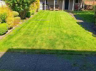 Lisa H.'s lawn service service result
