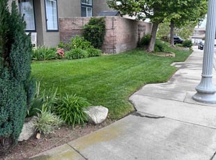 Lizette L.'s lawn maintenance service result