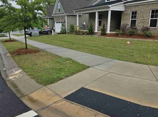 Rickey M.'s turf care service result