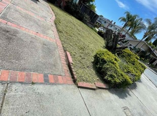 Sandra B.'s grass cutting service result
