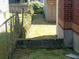Dan R.'s Long Grass Cleanup service result