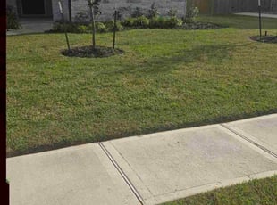 Dan W.'s lawn service service result