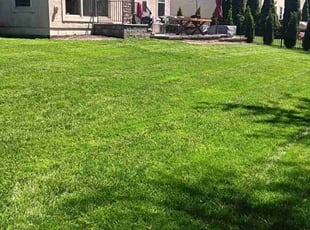 Julie N.'s lawn care services service result