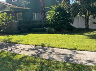 Briana W.'s Leaf Removal service result