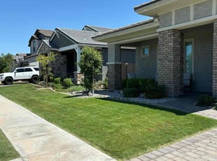 Henry E.'s grass maintenance service result