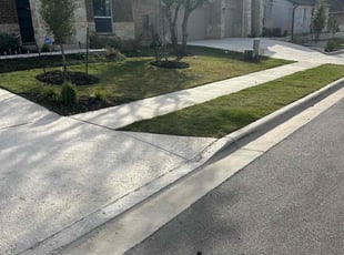 Allen F.'s lawn care services service result