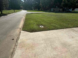 Manuel R.'s grass maintenance service result