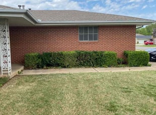 Rosemary H.'s Bush Trimming service result