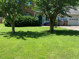 Priya B.'s lawn maintenance service result