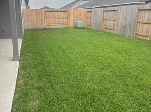 Tramaine R.'s grass cutting service result