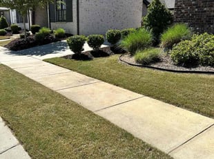 Brian K.'s grass cutting service result