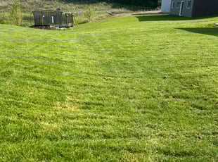 Brian M.'s lawn maintenance service result