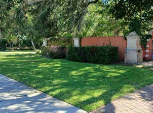 Marion G.'s lawn care services service result