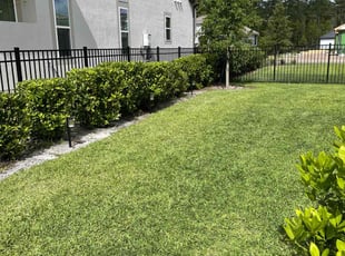 Lisa D.'s lawn care services service result