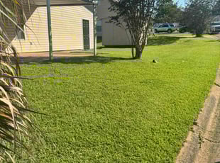 Andrea W.'s grass maintenance service result