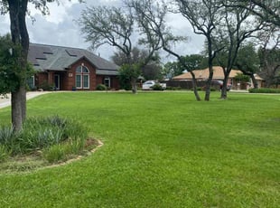 Nina H.'s lawn care service result