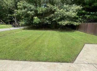 Rachel C.'s grass cutting service result